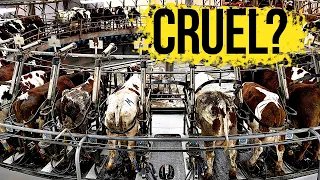 The Cruel Reality of Dairy Farms | Is Drinking Cow Milk Ethical? | Milk Production | ENDEVR Explains