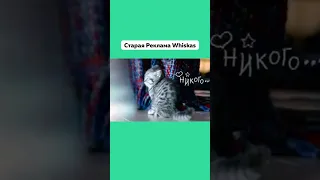 А Вы Помните Эту Рекламу 🥰 Старая Реклама Whiskas #Вискас #Реклама #Ностальгия #Подпишись #Shorts