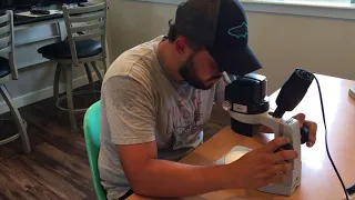 Microscope instructional video