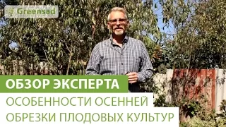 Особенности осенней обрезки плодовых культур