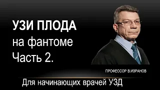 УЗИ плода на фантоме. Часть 2. Отработка практических навыков.