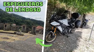 ESPIGUEIROS DE LINDOSO