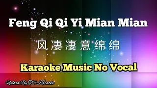 Feng Qi Qi Yi Mian Mian 风凄凄意绵绵 karaoke no vocal