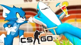 КОТ ТОМ И АКУЛЫ В БАССЕЙНЕ 🦈 CS:GO Тролль Прятки (КС ГО Маньяк)