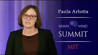 Paola Arlotta - How Stem Cell Biology Sheds New Light On Neurological Disorders