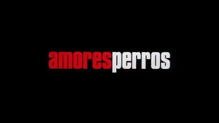 Beauty Of Amores Perros!