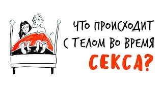 Что происходит с ТЕЛОМ во время СЕКСА? — Научпок