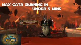 Level Up Cataclysm Skinning in Under 5 Minutes! - World of Warcraft Guides