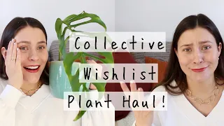 Collective Wishlist Plant Haul! | Wishlist Houseplants Haul!