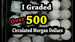 Coin Dealer Grades 500 Circulated Morgan Dollars!