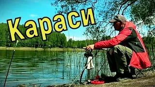 Карась теперь тоже редкий зверь. НАКОНЕЦ-ТО!!!!