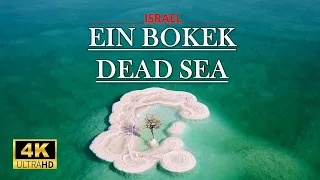 EIN BOKEK Dead Sea Israel 🇮🇱, Lowest Point on Earth,Incredible Salt Islands in 4K 60 FPS video