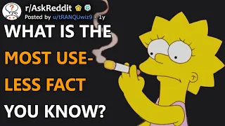 What's The Most Useless Fact You Know? (r/AskReddit)