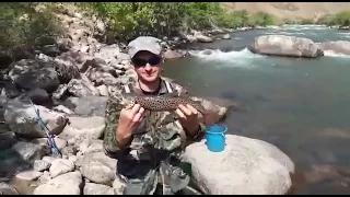 Рыбалка, форель, Кокомерен, Кыргызстан