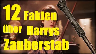 12 FAKTEN über HARRY POTTERS ZAUBERSTAB ✨