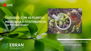 Cuidados com as plantas medicinais e fitoterápicos