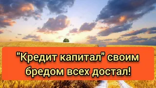 Кредит капитал так уверенно утверждает о возврате средств!