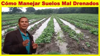 Cómo Manejar Suelos con Pobre Drenaje #riego