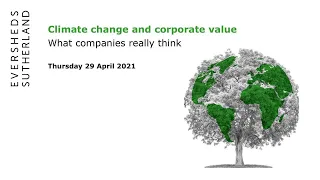 Webinar: Climate change and corporate value - what companies really think (Food and Beverage sector)