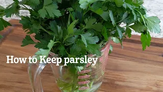 How to Keep Parsley Fresh Longer