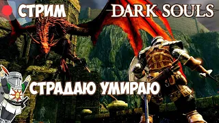 Dark Souls Remastered #3 (СТРИМ) Прохождение Дарк Соулс 😏
