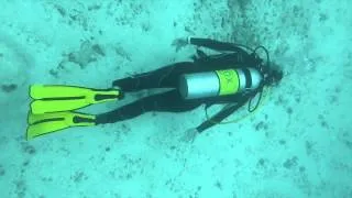 Diving North Male Atoll, Baros Maldives 2015