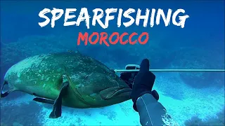 Mero spearfishing in MOROCCO #dentex #grouper #mero