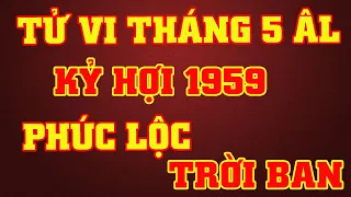 Tử Vi Tháng 5 Âm Lịch Tuổi Kỷ Hợi 1959 - Hưởng Phúc Đón Lộc Trời Ban