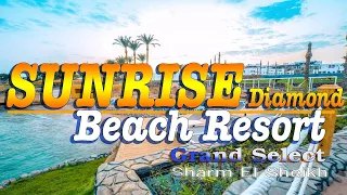 SUNRISE Diamond Beach Resort -Grand Select 5🌴 Sharm El Sheikh 🇪🇬 (Hotel Tour )