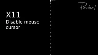 How To Disable Mouse Cursor in X11 [UNIX]