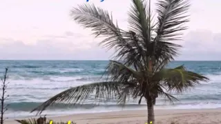 La plage aux romantiques sub Francés / Español