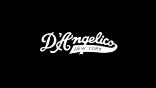 D'Angelico Premier Atlantic Black Flake Electric Guitar Tones With James - Rimmers Music