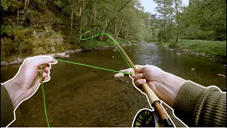 Super muškaření se suchou mouchou na řece | Dry fly fishing for a brown trout