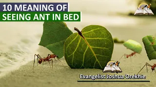 10 Meaning of Seeing Ants in Bed - Meaning of Ant Crawling the Body