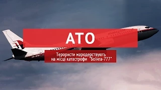 Терористи мародерствують на місці катастрофи  "Боїнга-777"