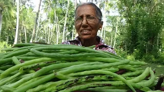 Village Vegetable Recipe ❤ Cooking Long Beans with Coconut by Grandma | Village Life