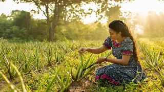 Aloe Vera Dishes 🍽️ A Divine Medicine Used In Several Unbelievable and Completely Natural Dishes