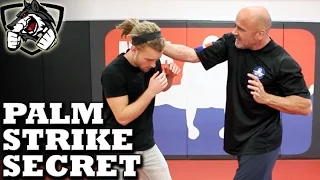 Bas Rutten's Palm Strike KO Secret Technique: Bone Strikes