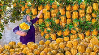 Fresh Pineapple Harvest: Homemade Delicious Pineapple Jam and Cake Recipe!