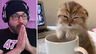 Mikey Reacts To Daily Dose Of Internet EP 47