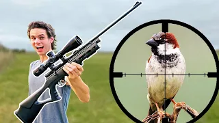 Pest Bird Hunting with .177 C02 Air Rifle!