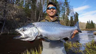 Alaska King Salmon Fishing a Tiny Creek! (CATCH CLEAN COOK)