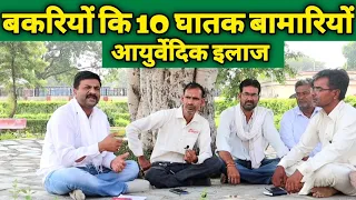 बकरी पालन| बकरियों की 10 घातक बीमारियों का आयुर्वेदिक इलाज| bakri palan kaise kare