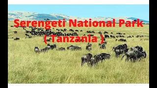 Serengeti National Park (Tanzania)