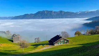 Switzerland 4K Nature - Clouds Fall to Earth, Relaxing Walk in the Rain with Nature Sounds ASMR