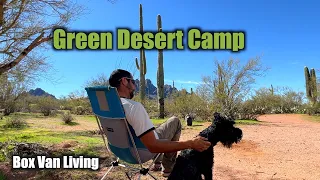 Green Desert Camp Box Van Living