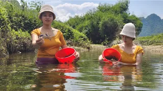 Girl catches crabs in wild lagoons and streams - girl building bushcraft life