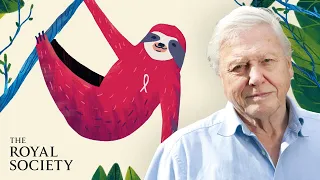 Why is biodiversity important - with Sir David Attenborough | The Royal Society