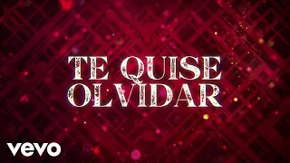 Banda Rancho Viejo De Julio Aramburo La Bandononona - Te Quise Olvidar (LETRA)