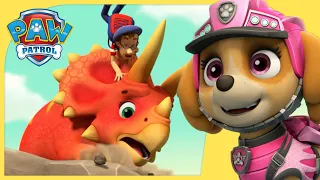 Skye Dino Rescues and MORE | PAW Patrol Compilation | Cartoons for Kids